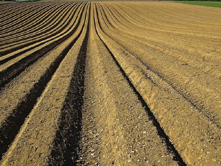 Międzynarodowe targi UZAGROEXPO – Agriculture