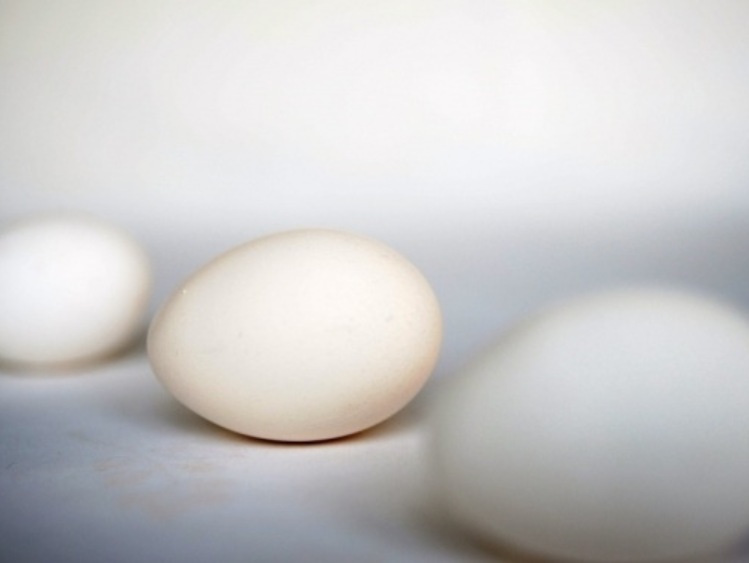 Łotwa donosi KE o salmonelli w jajach z Ukrainy