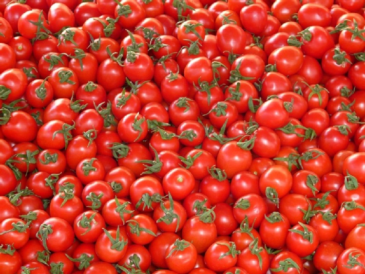 Hiszpański eksport pomidorów