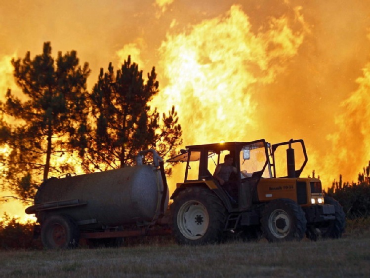 PSP: już ponad 1000 pożarów lasów od początku roku