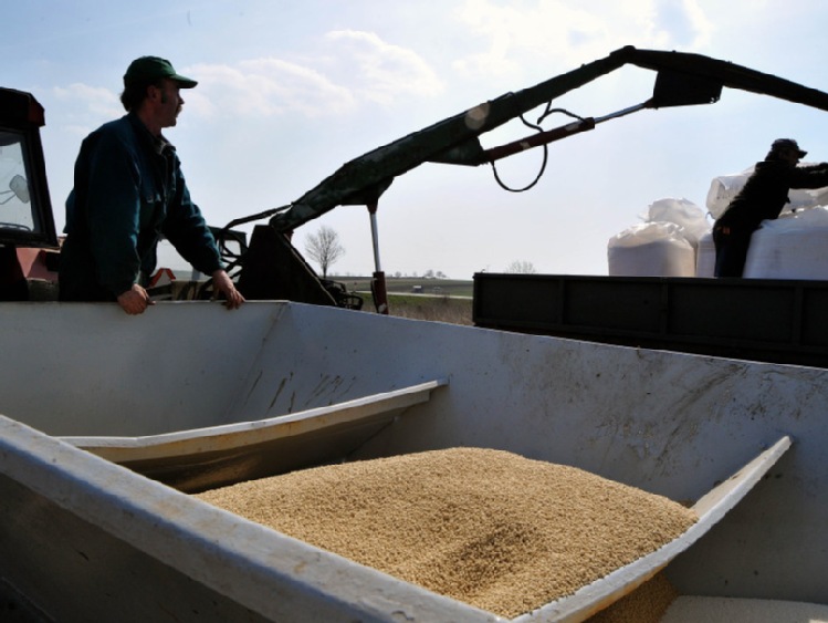 Corteva Agriscience wprowadza drugą markę nasion w Polsce