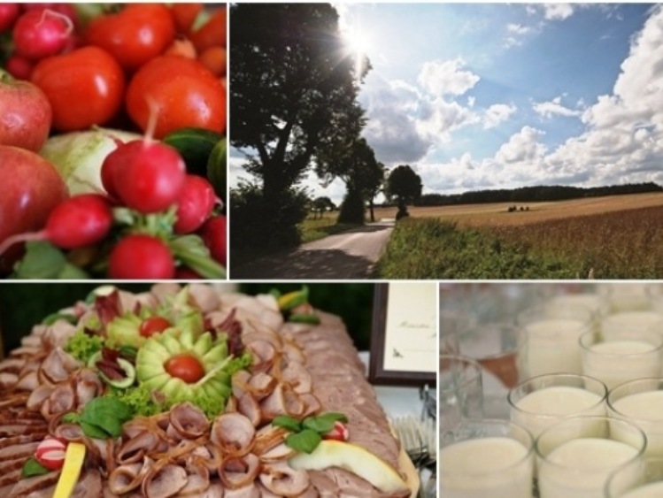 Program rozwoju głównych rynków rolnych w Polsce na lata 2016-2020