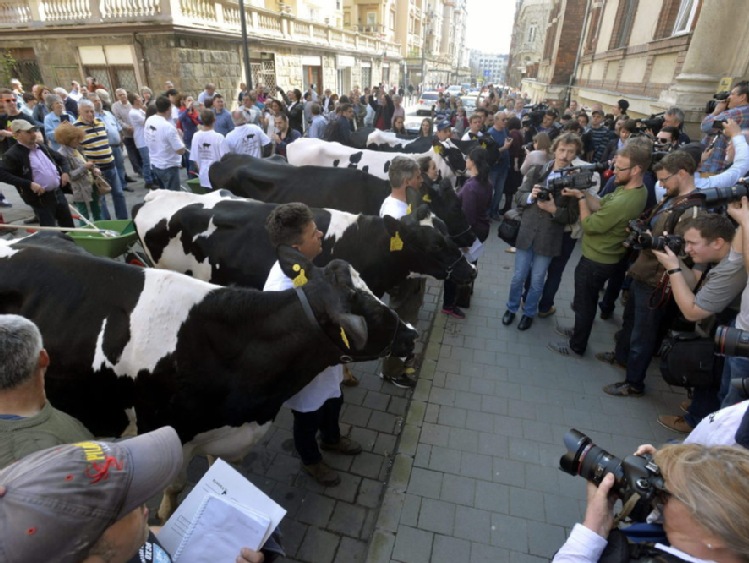 Węgry: protest producentów mleka pod Tesco w Budapeszcie