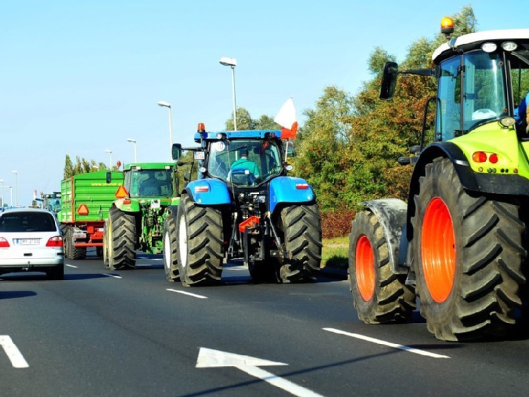 Lubelskie: rolnicy protestują ws. ASF na drodze krajowej nr 2