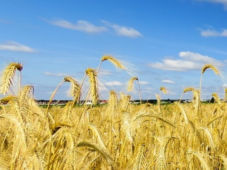 MRiRW ws. wniosku o ponowną analizę nowo wyznaczonych obszarów ONW