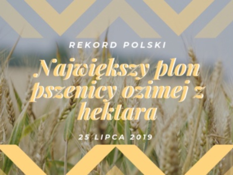 PROCAM Polska Sp. z o.o. idzie na Rekord Polski w plonie pszenicy ozimej