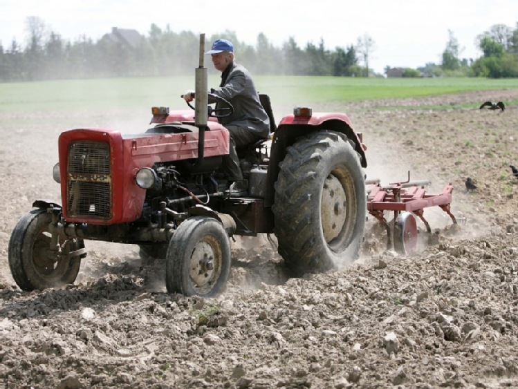 MRiRW: 14,8 mld zł na dopłaty bezpośrednie za 2016 r.