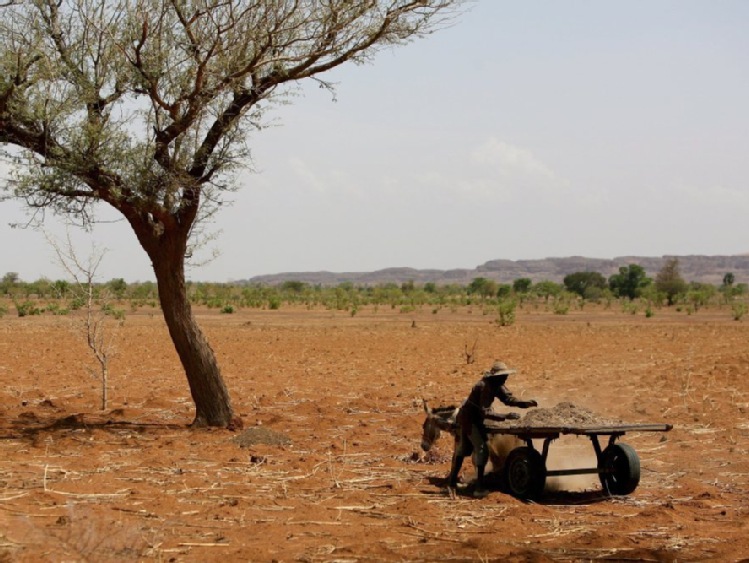 Tradycyjna metoda uprawy ziemi może zmniejszyć zmiany klimatyczne
