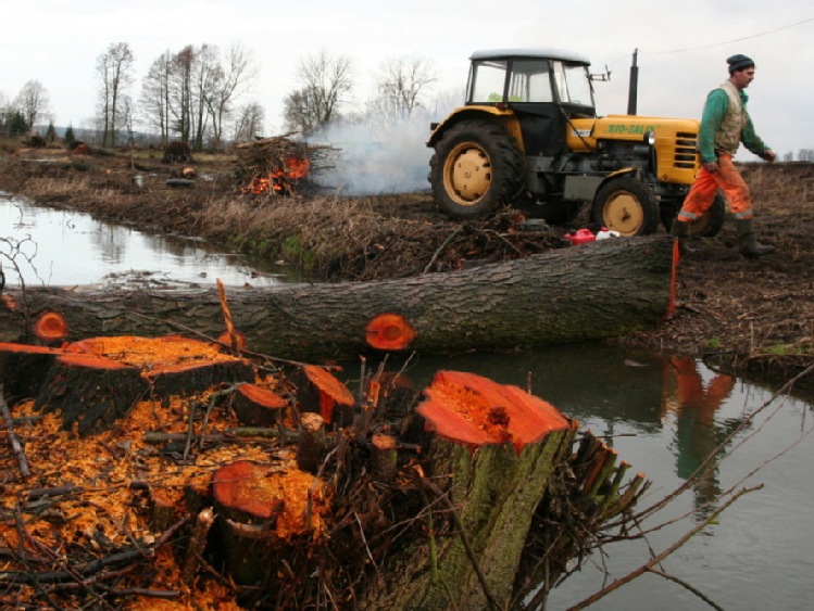 MRiRW: rozporządzenie dot. wsparcia spółek wodnych i gospodarstw z terenów ASF