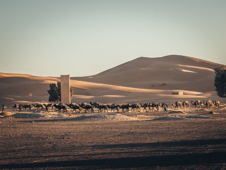 Ekscytująca wyprawa w nieznane - Runmageddon Sahara Adventure