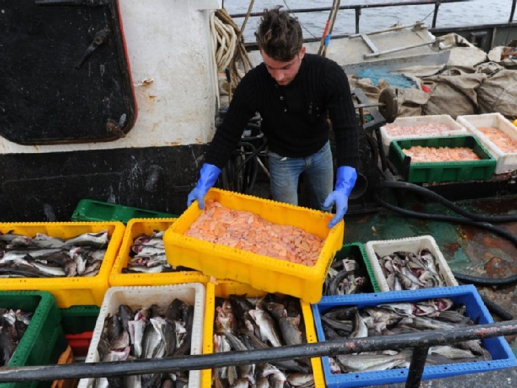 Rio 2016 serwuje ryby z odpowiedzialnych zrównoważonych połowów