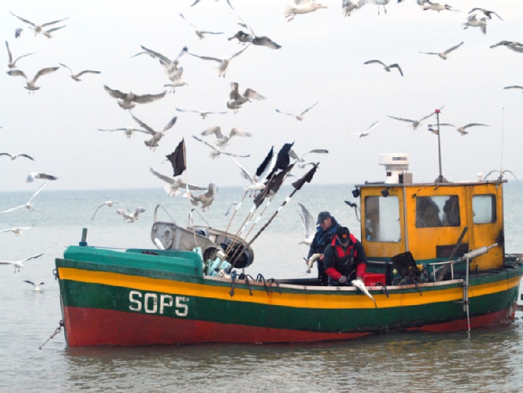 Rząd zajmie się we wtorek zmianami w ustawie o rybołówstwie morskim