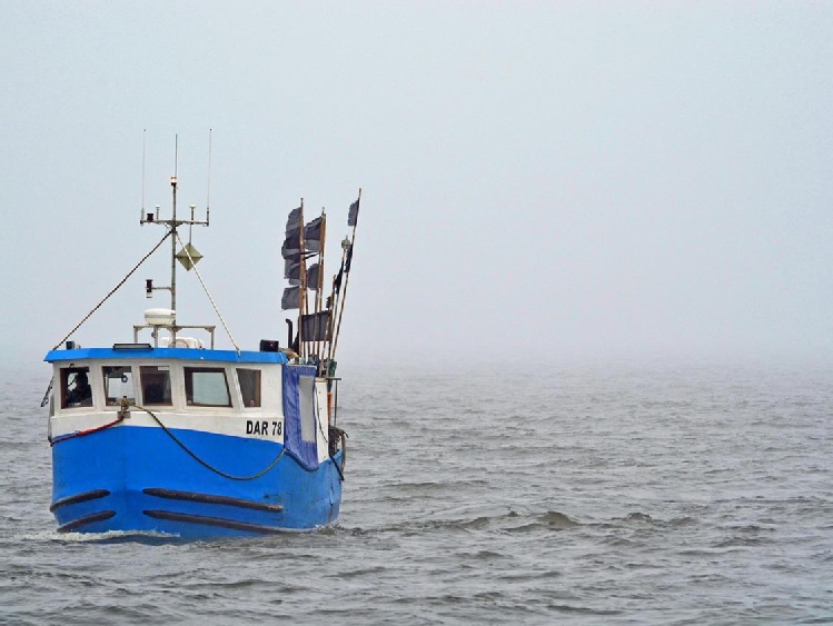 Jest porozumienie polityczne ws. kwot połowowych na Bałtyku