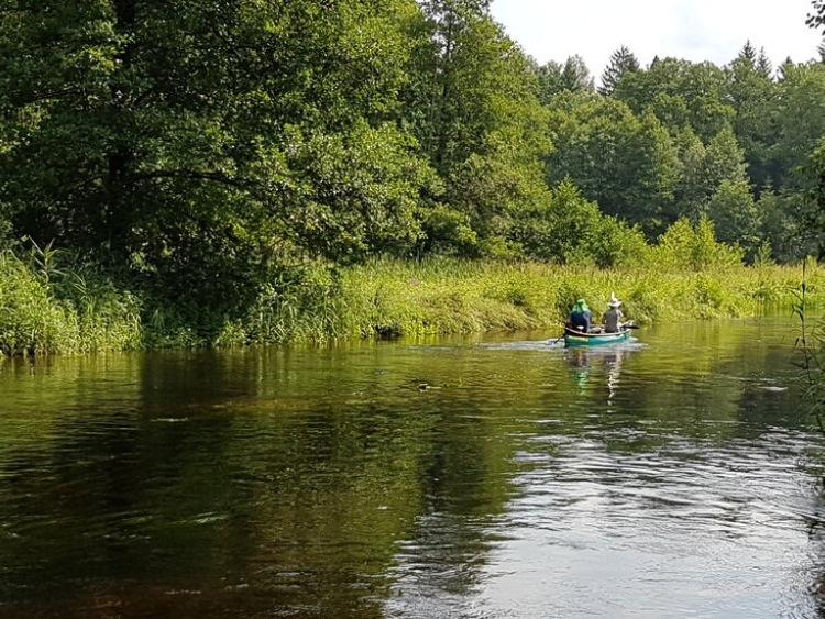 Najnowsze badanie w czasopiśmie Nature stwierdza: już tylko jedna trzecia najdłuższych rzek na świecie nie została przekształcona przez człowieka i płynie swobodnie!