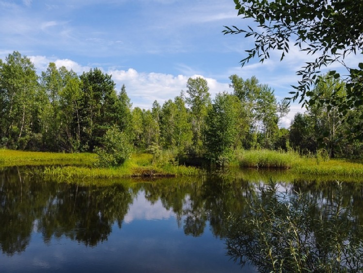 Świętokrzyskie/ Przywrócony zostanie naturalny charakter śródlądowej delty Nidy