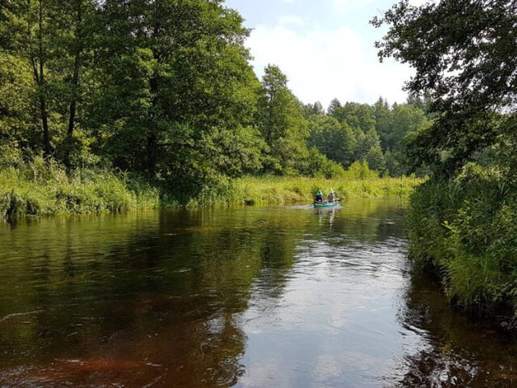 Odpoczynek nad rzeką w zgodzie z naturą