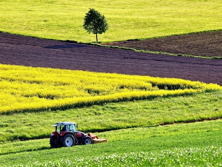 Dodatkowe wsparcie dla rolników – Uzupełniająca Płatność Podstawowa