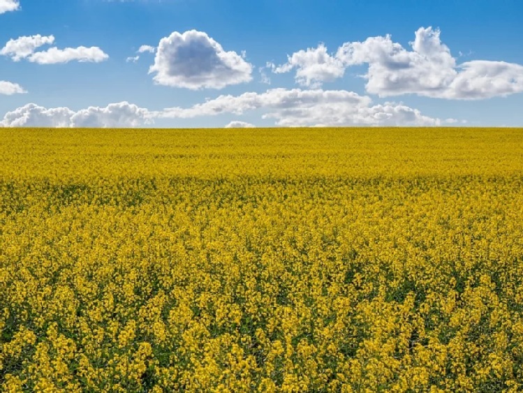 Generali Agro rozpoczyna jesienny sezon ubezpieczania upraw