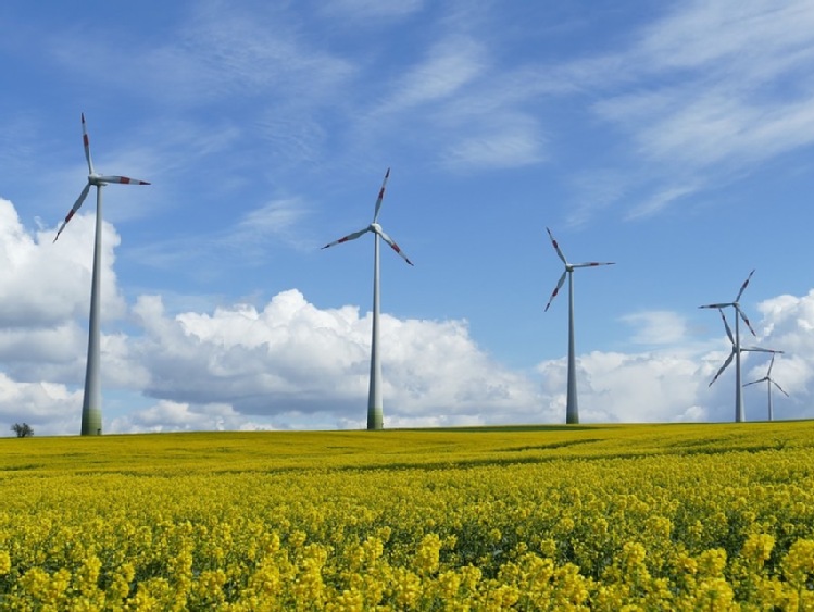 PSL obniży ceny energii