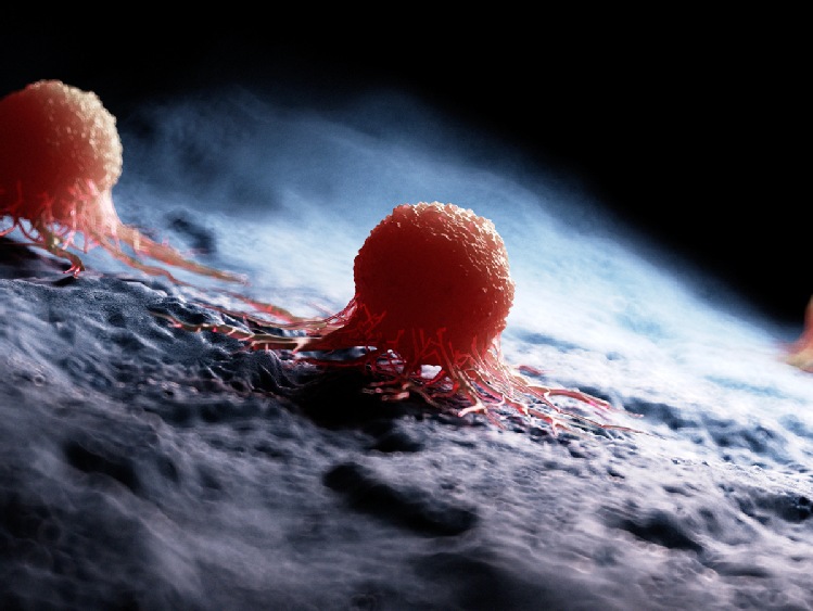 Nanocząstki w walce z nowotworami