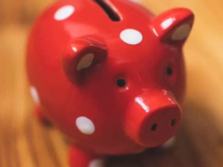 Pomoc finansowa dla producentów świń