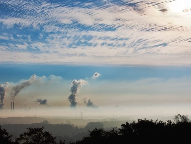 12 proc. zgonów w Polsce powiązanych ze smogiem