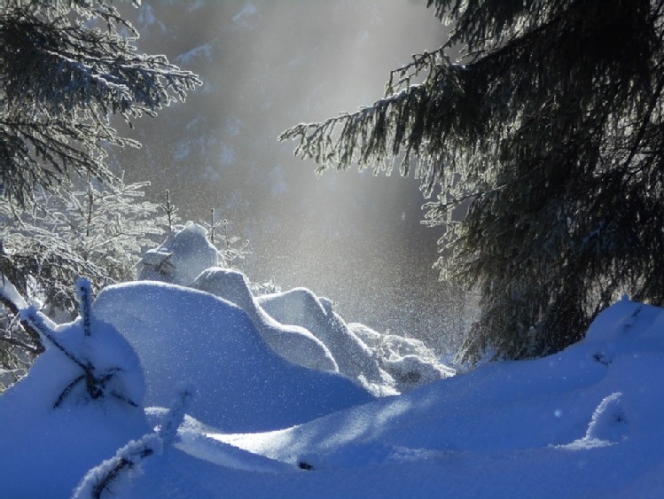 Podkarpackie/ Usuwanie skutków opadów śniegu; zagrożenie lawinowe
