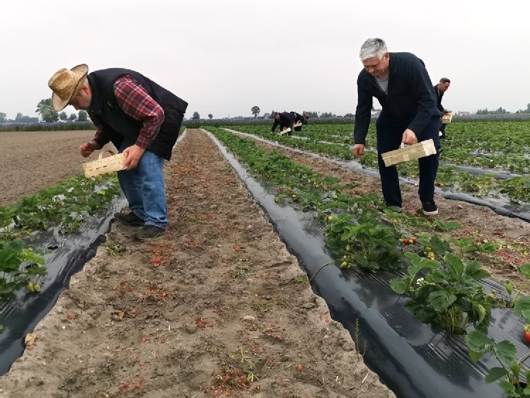 Okażmy społeczną solidarność