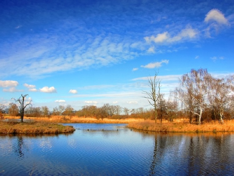 Czynna ochrona obszarów parków krajobrazowych województwa lubuskiego