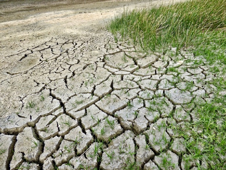 Badanie: 3/4 polskich obywateli jest zaniepokojone zmianą klimatu