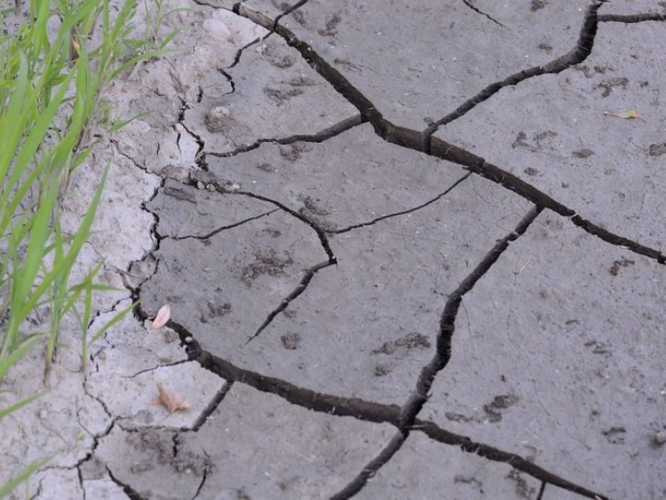 Metodologia szacowania strat w rolnictwie