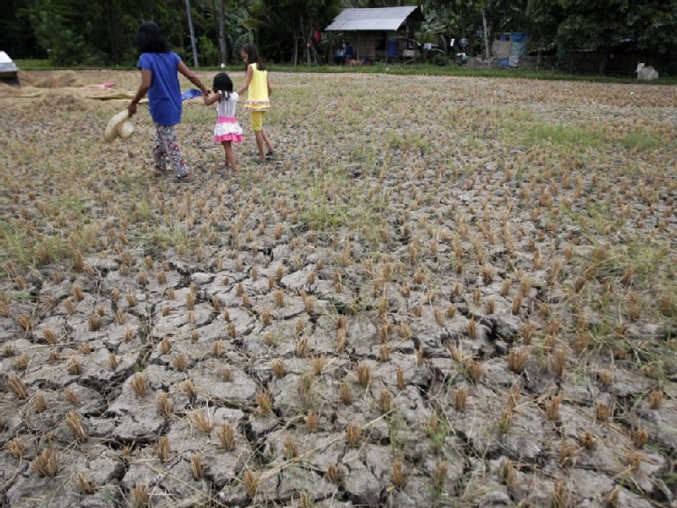 FAO: najgorsza od lat susza grozi niedostatkiem żywności w Korei Płn.