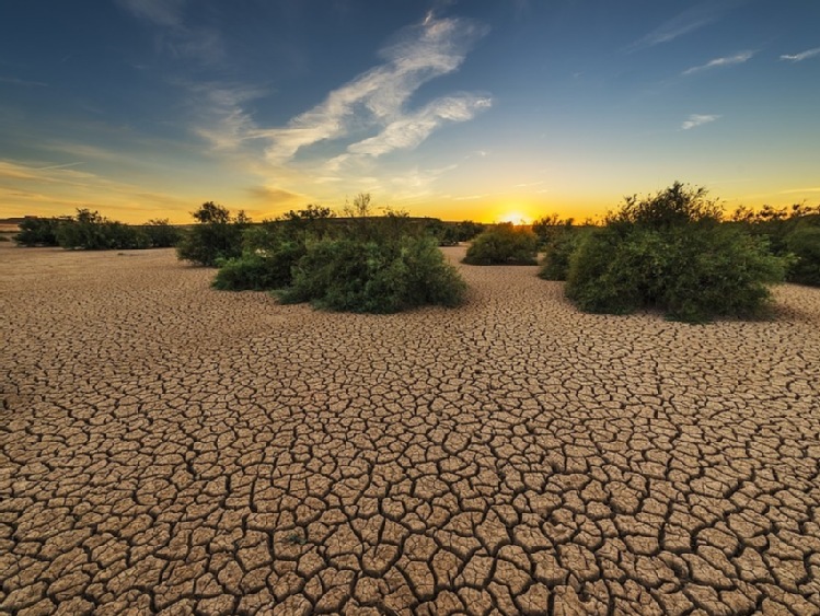 Zmiany klimatu kosztują – nowa kampania Banku BNP Paribas