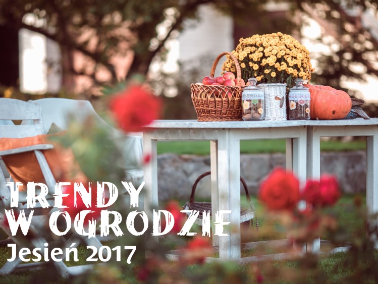 Trendy w ogrodzie na jesień 2017