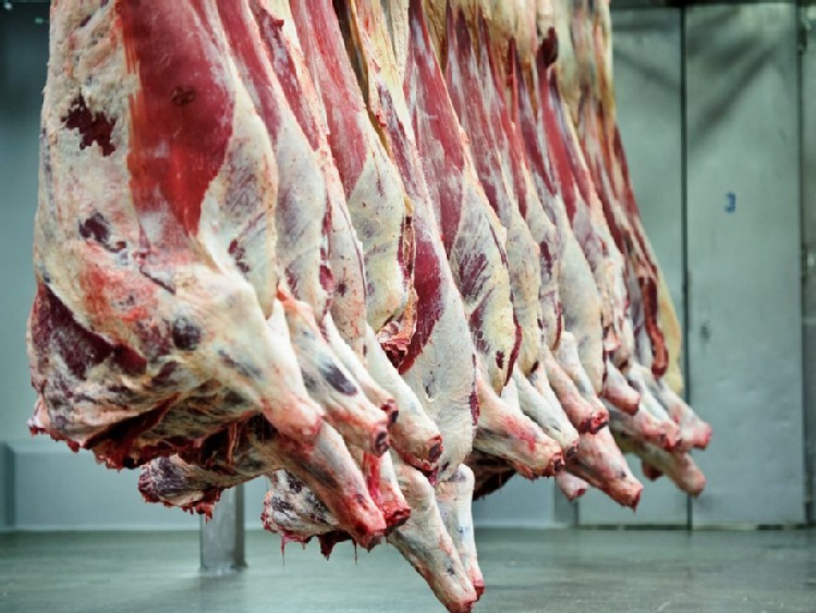 USA wstrzymują import mięsa wołowego z Brazylii