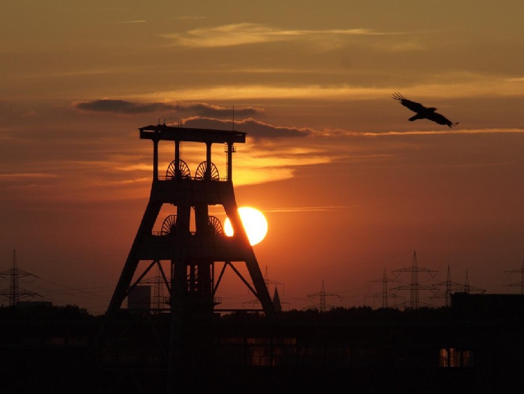 Min. Klimatu i Środowiska uchyliło się od jasnej deklaracji