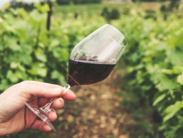 Wina ekologiczne – jakie certyfikaty?