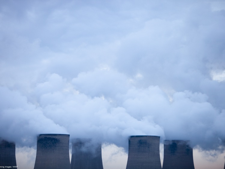 Ratunek przed suszą: nie deszcz a polityka klimatyczna