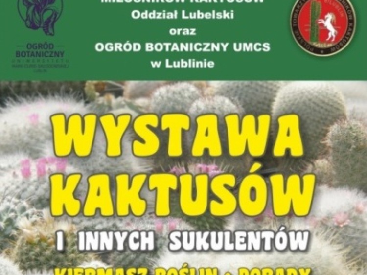 Wystawa kaktusów