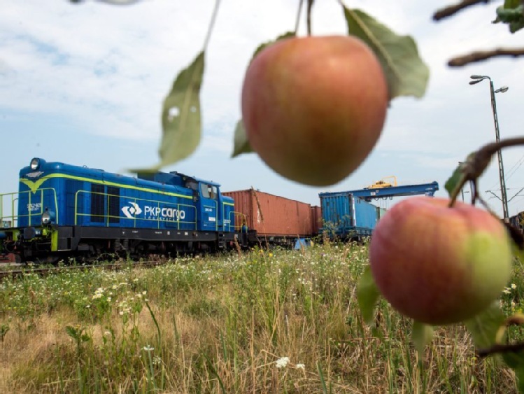 Nadwyżka w handlu produktami rolnymi w '16 skurczy się do 7,6 mld euro