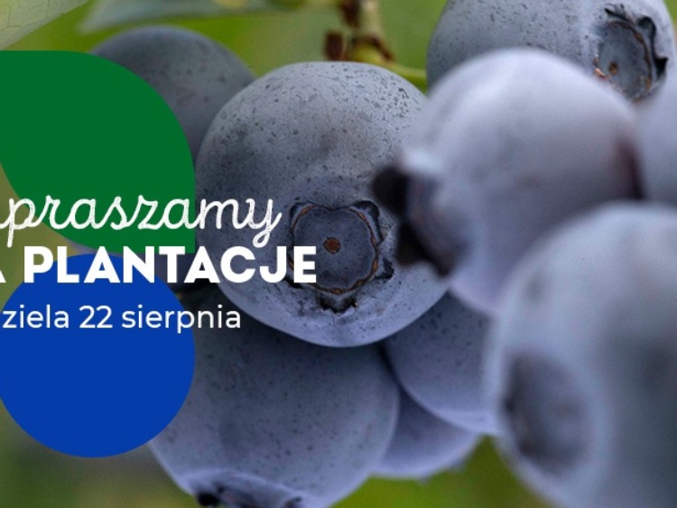 Dziękujemy i zapraszamy na plantacje