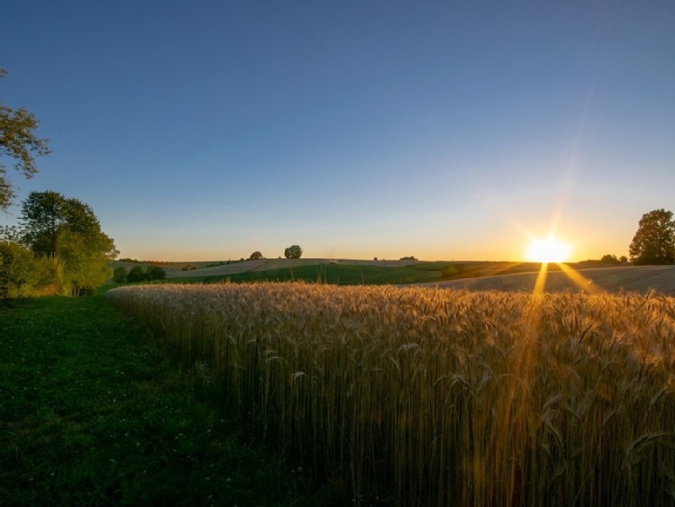 Zgoda na zwiększenie poziomu zaliczek w związku z suszą