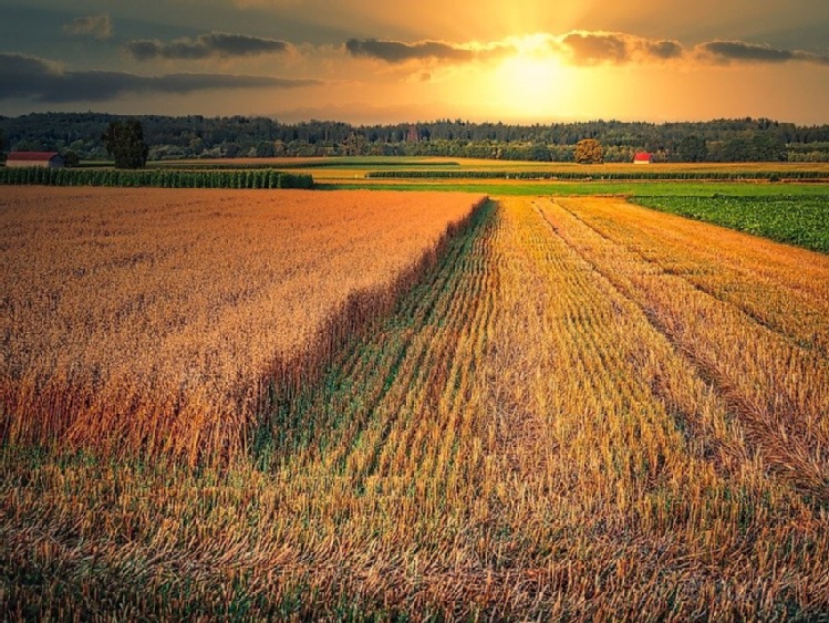 Sekretariat Regionalny KSOW informuje o przedłużeniu terminu składania prac w konkursach fotograficznym i filmowym, które promują dobre praktyki PROW 2014-2020