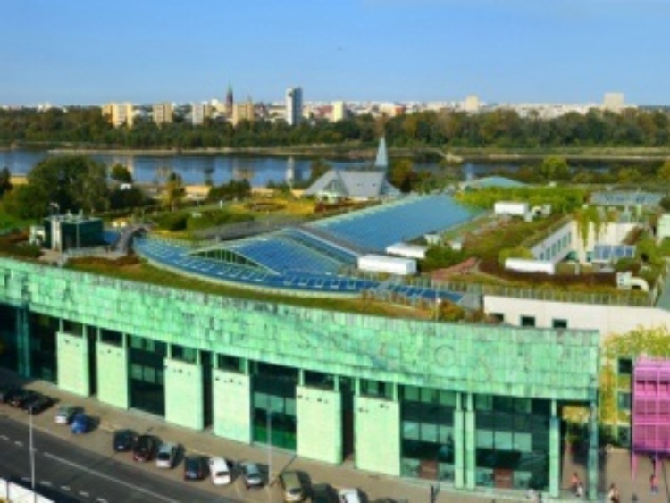 Zielone dachy w Polsce - Nowy trend z ogromnym potencjałem