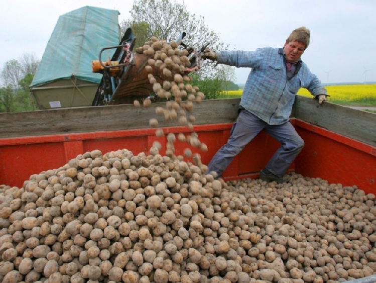 Areał upraw GMO na świecie wzrósł o 3 proc. w 2016 roku