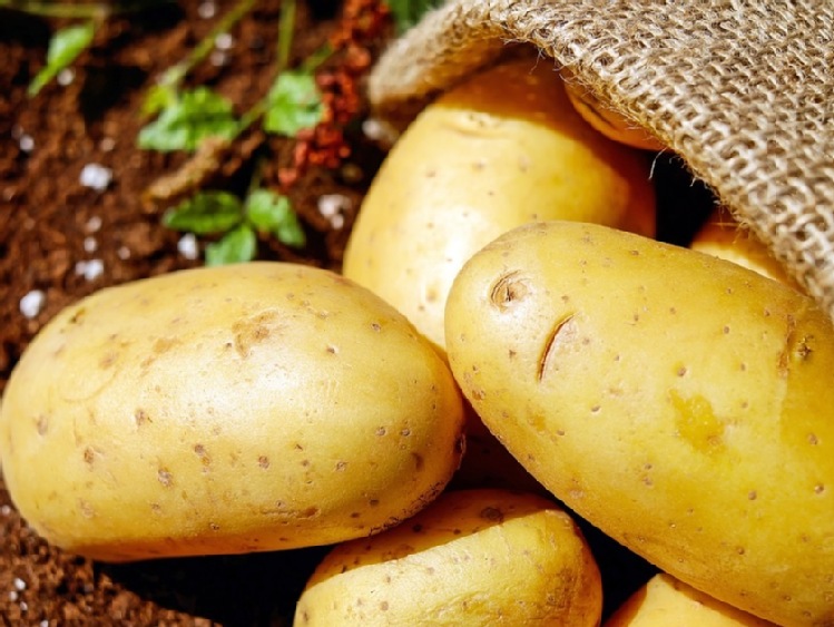 Jest szansa na wypłatę rekompensat za ziemniaki zutylizowane w 2021 r.