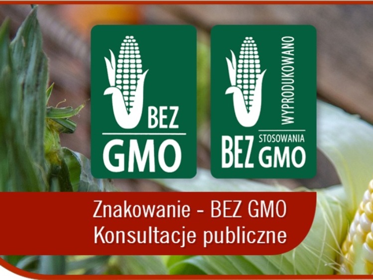 Znakowanie - bez GMO - rozpoczęły się konsultacje publiczne