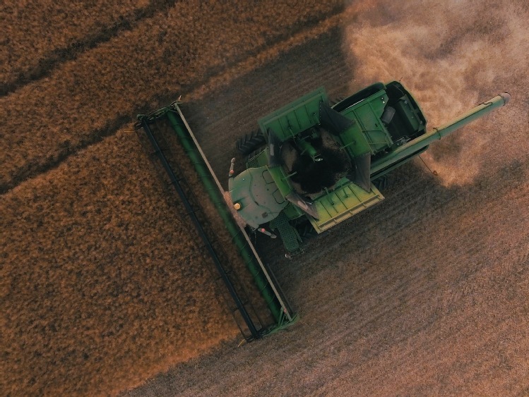 Rosario obniża prognozę zbiorów pszenicy w Argentynie