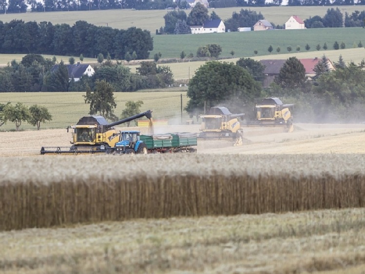 Opolskie/ Stracił dłoń podczas pracy przy kombajnie