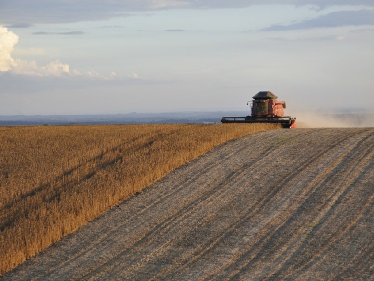 USDA  – jeszcze większe prognozy globalnych zbiorów soi w sezonie 2016/17